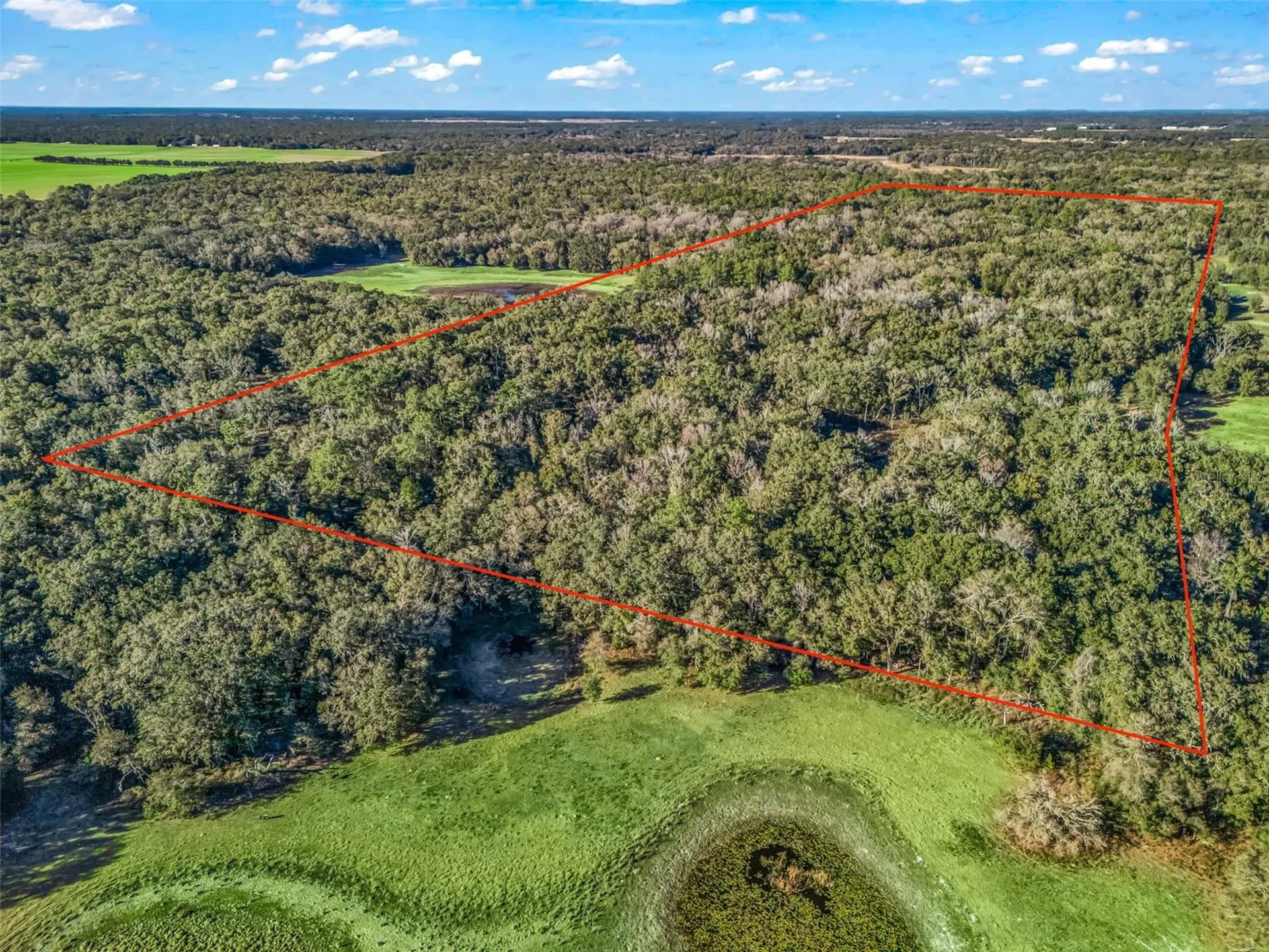 0 SE 165th Avenue Williston FL 32696