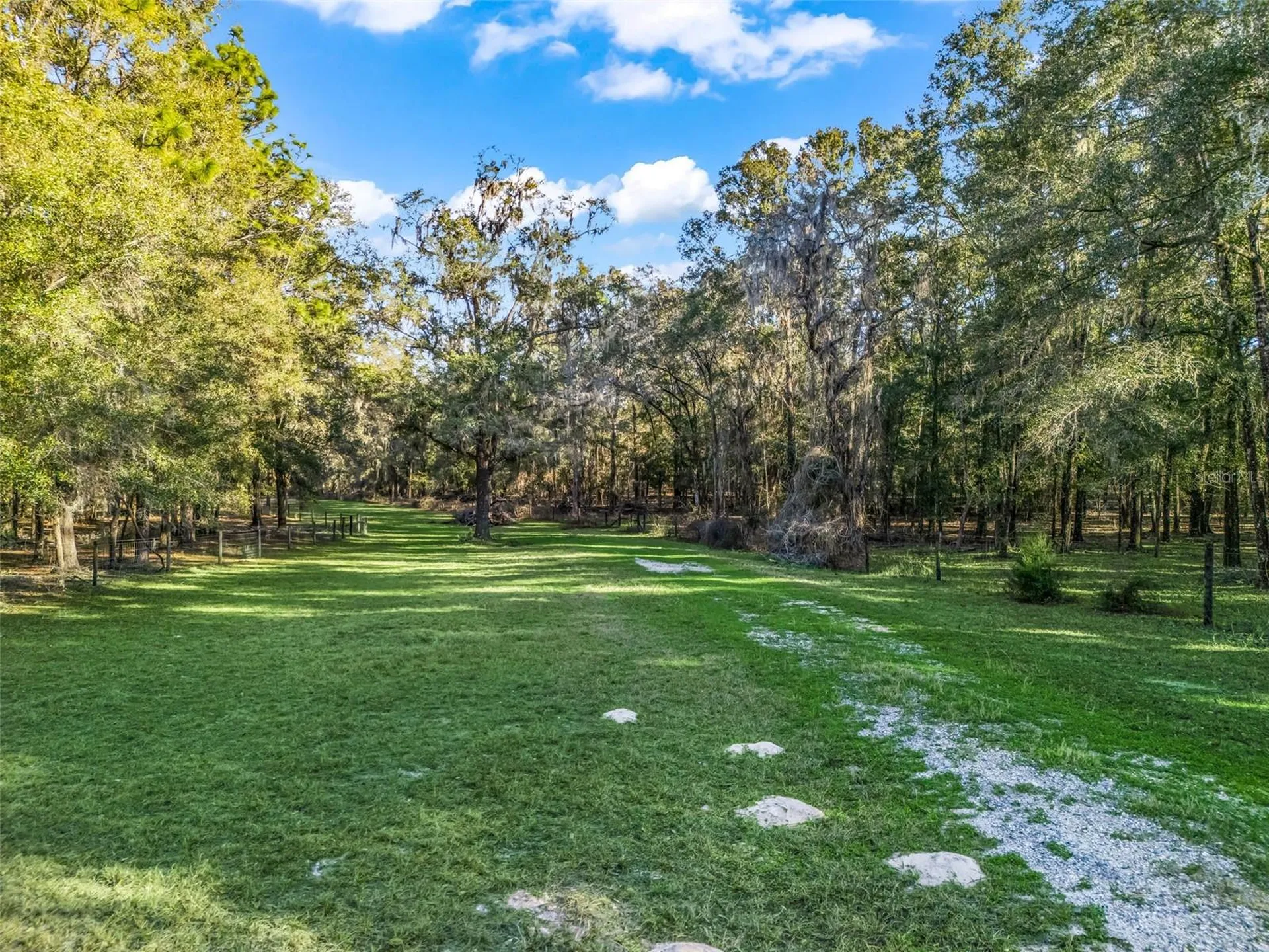 0 SE 165th Avenue Williston FL 32696
