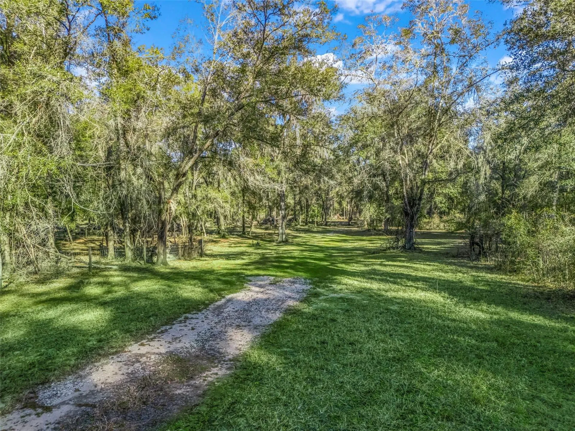 0 SE 165th Avenue Williston FL 32696