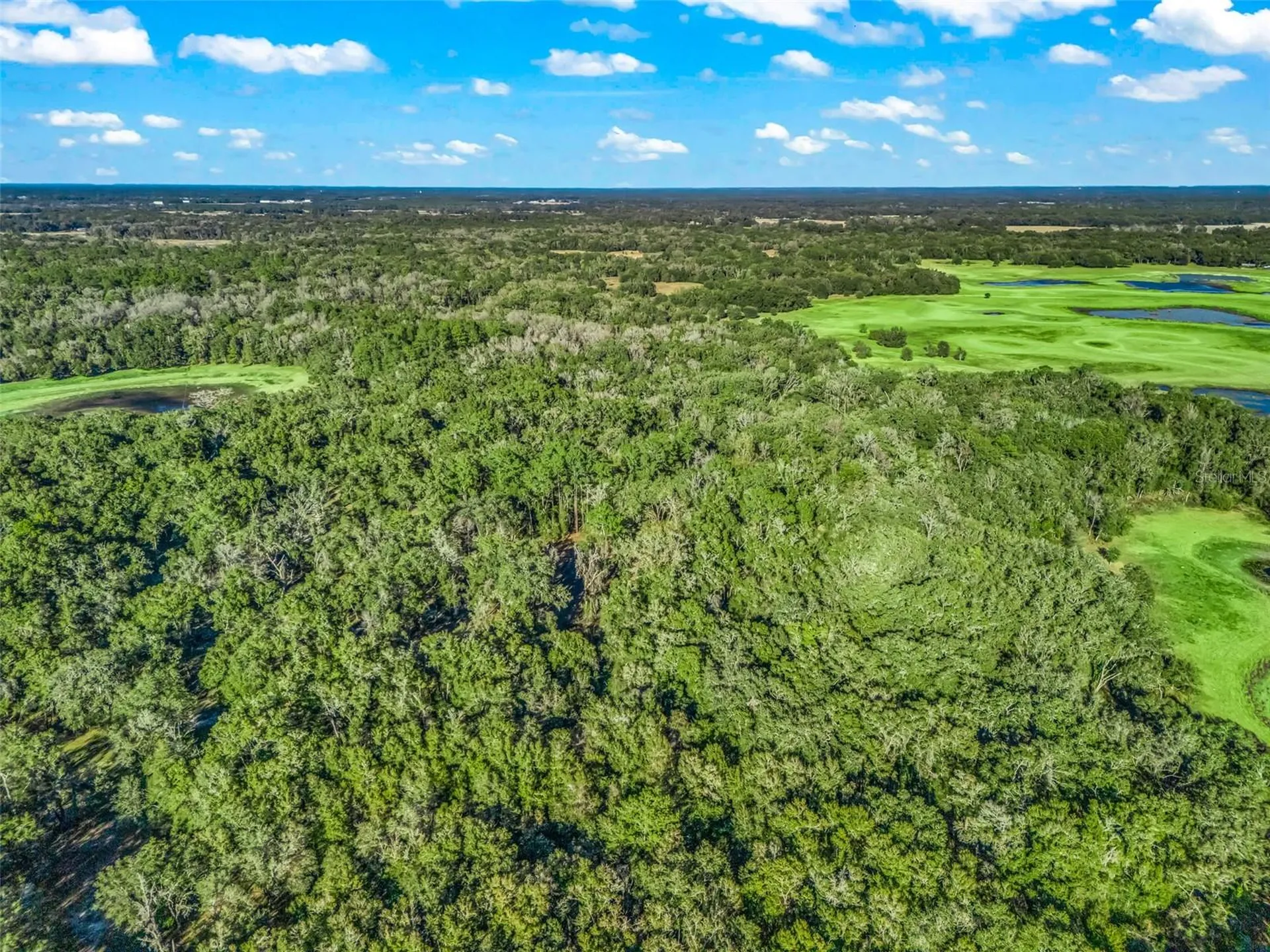 0 SE 165th Avenue Williston FL 32696
