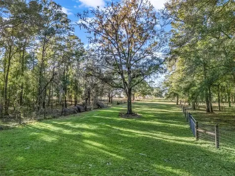 0 SE 165th Avenue Williston FL 32696