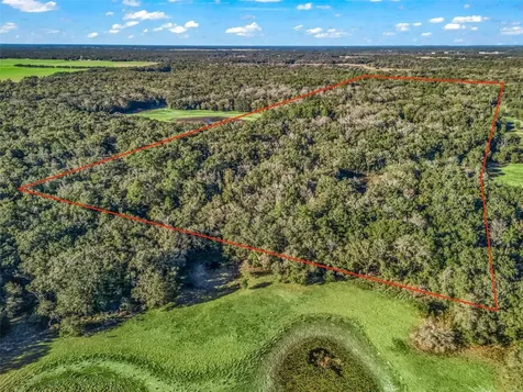 0 SE 165th Avenue Williston FL 32696