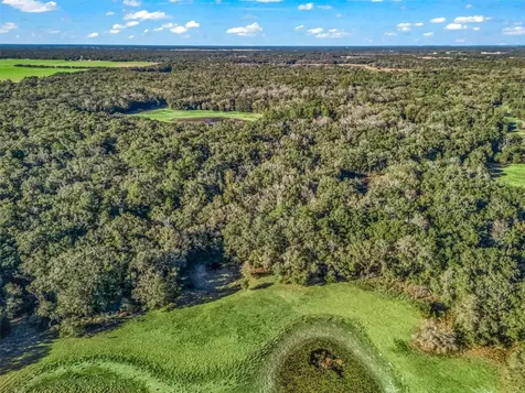 0 SE 165th Avenue Williston FL 32696