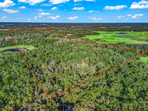 0 SE 165th Avenue Williston FL 32696