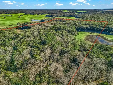 0 SE 165th Avenue Williston FL 32696