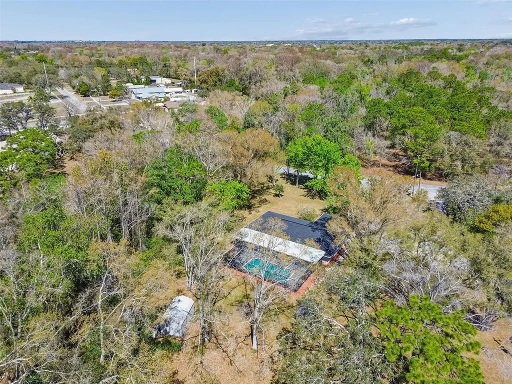10909 Candy Lane New Port Richey FL 34654