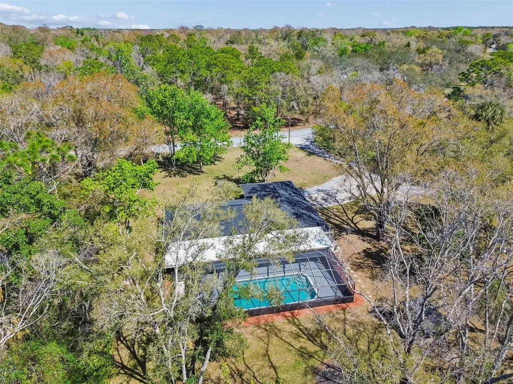 10909 Candy Lane New Port Richey FL 34654