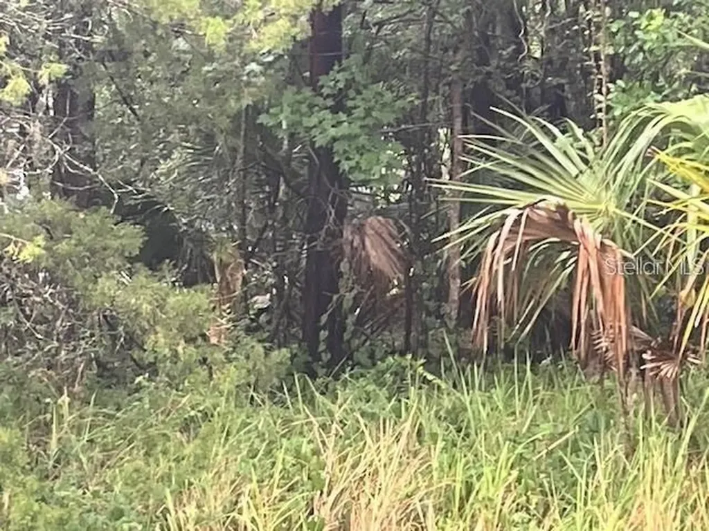 Sharon Street Brooksville FL 34601