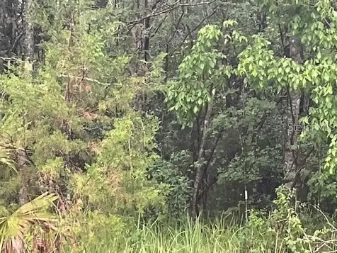 Sharon Street Brooksville FL 34601