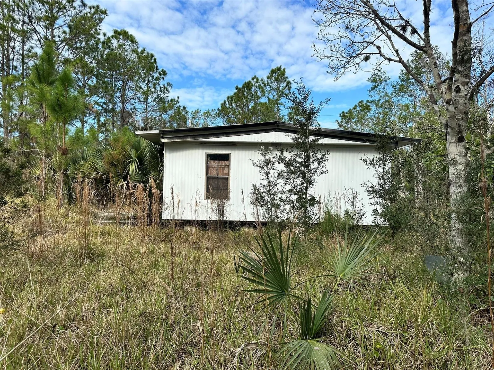 1516 Avocado Boulevard Bunnell FL 32110