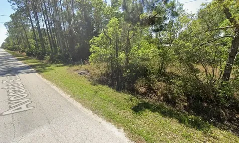 1516 Avocado Boulevard Bunnell FL 32110