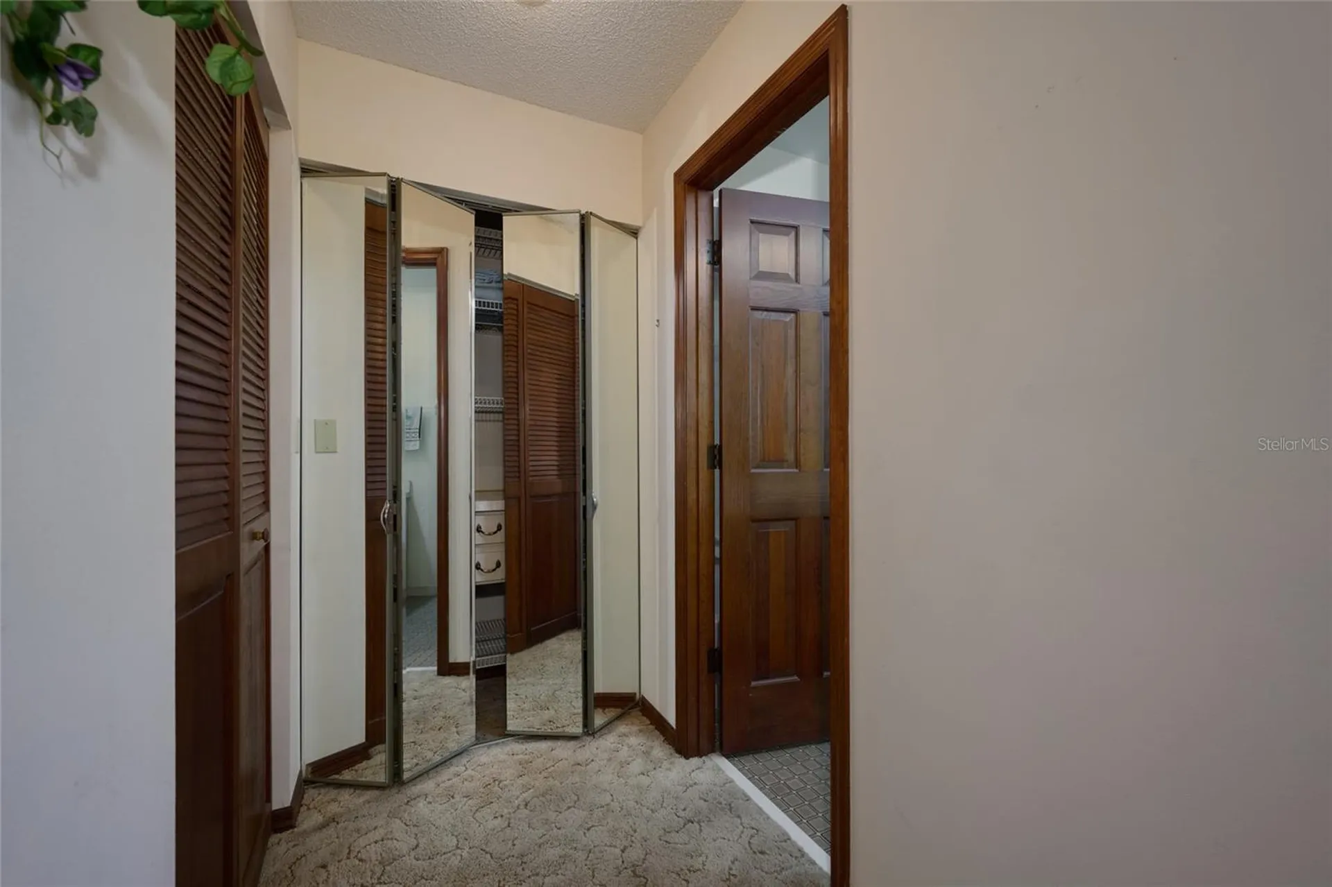4220 Oleander Drive Indian Lake Estates FL 33855