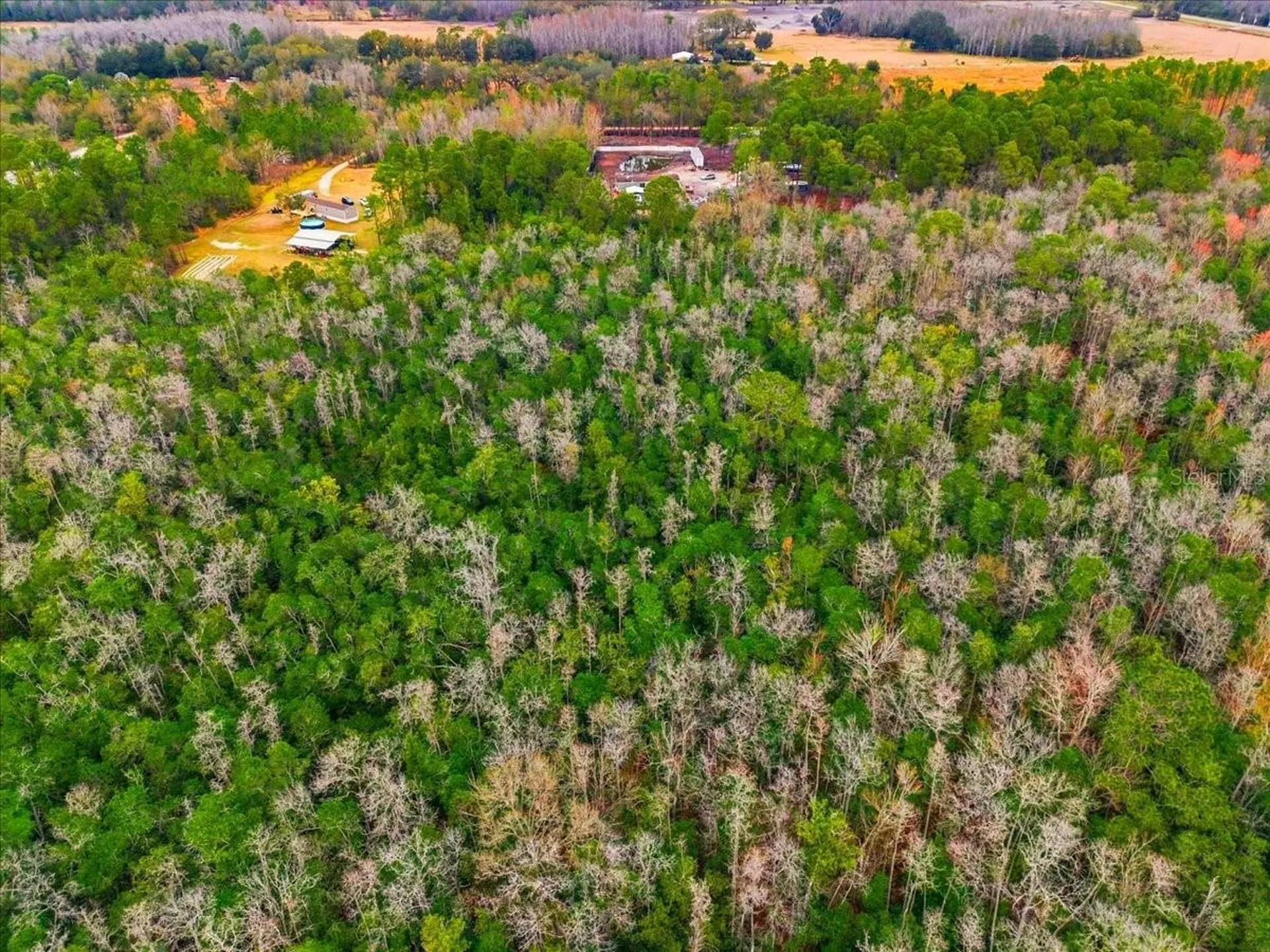 6963 Sugarbush Lane Polk City FL 33868