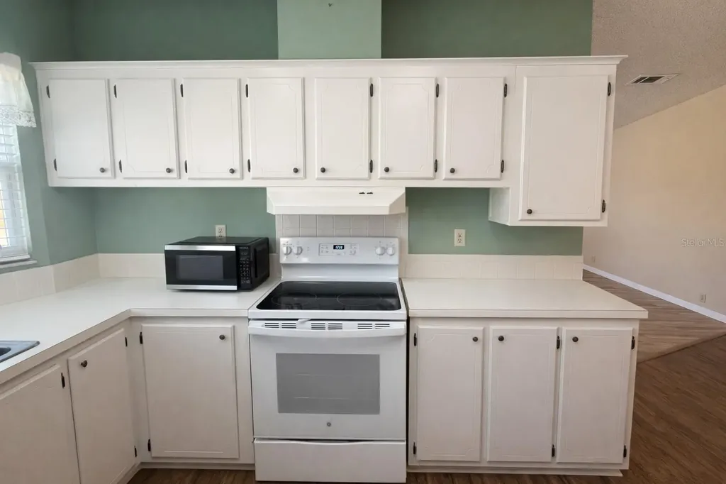 25308 Casa Del Lago Lane Leesburg FL 34748