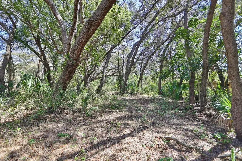 1971 Wolford Road Clearwater FL 33760