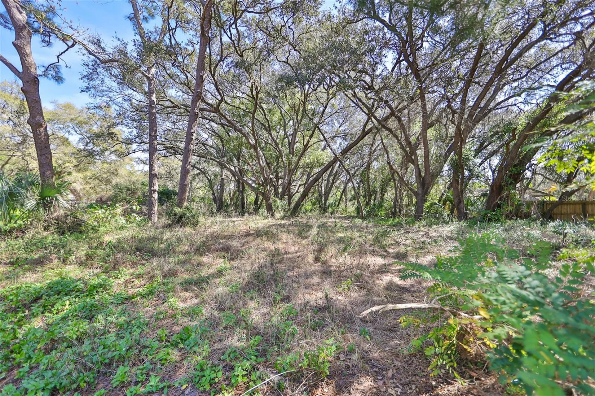 1971 Wolford Road Clearwater FL 33760