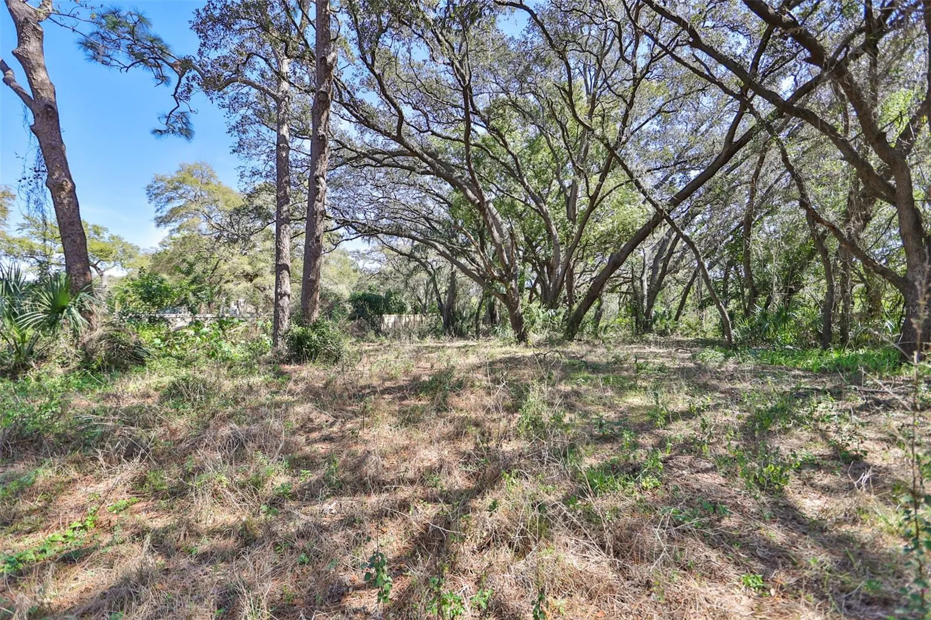 1971 Wolford Road Clearwater FL 33760