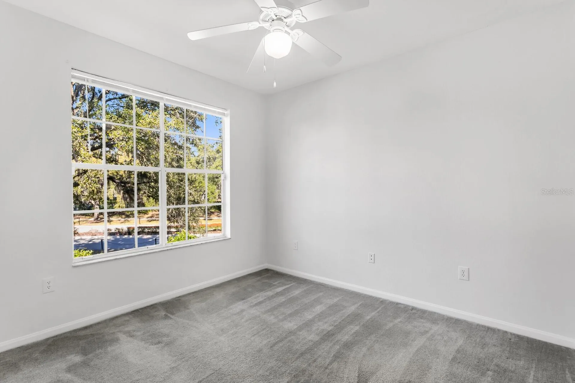 5125 Palm Springs Boulevard Tampa FL 33647
