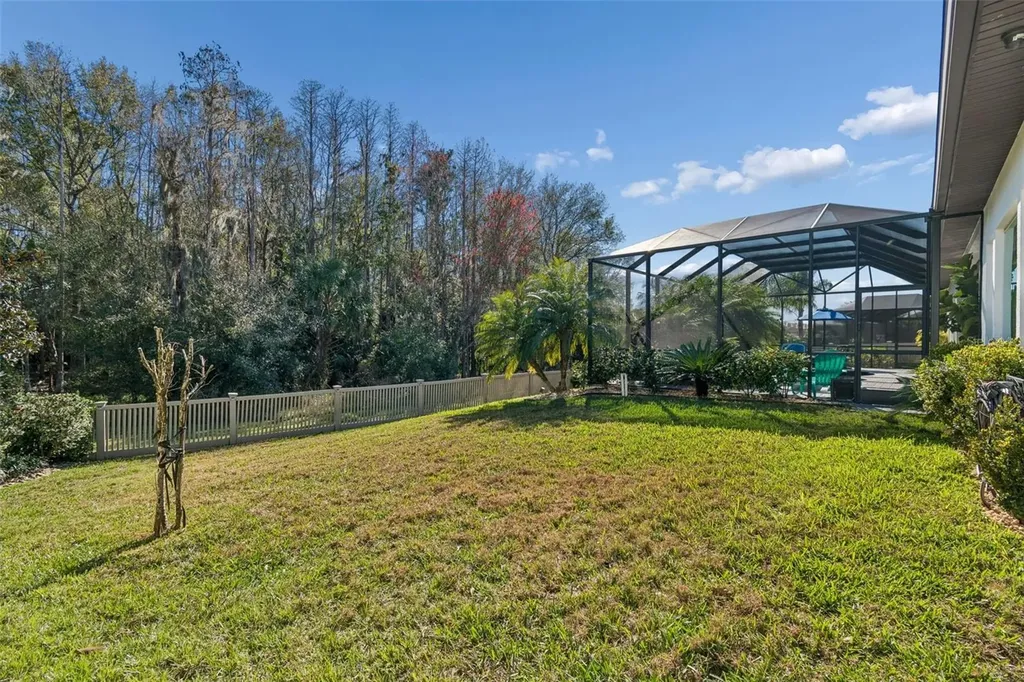 29118 Picana Lane Wesley Chapel FL 33543