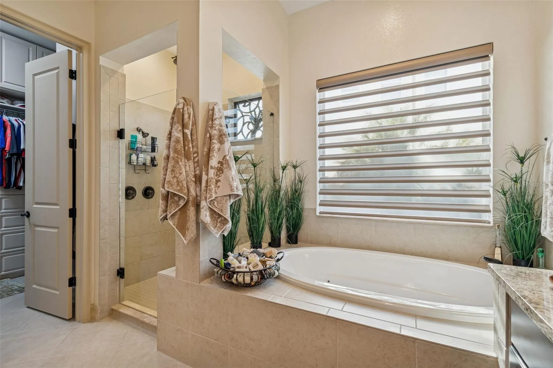 29118 Picana Lane Wesley Chapel FL 33543