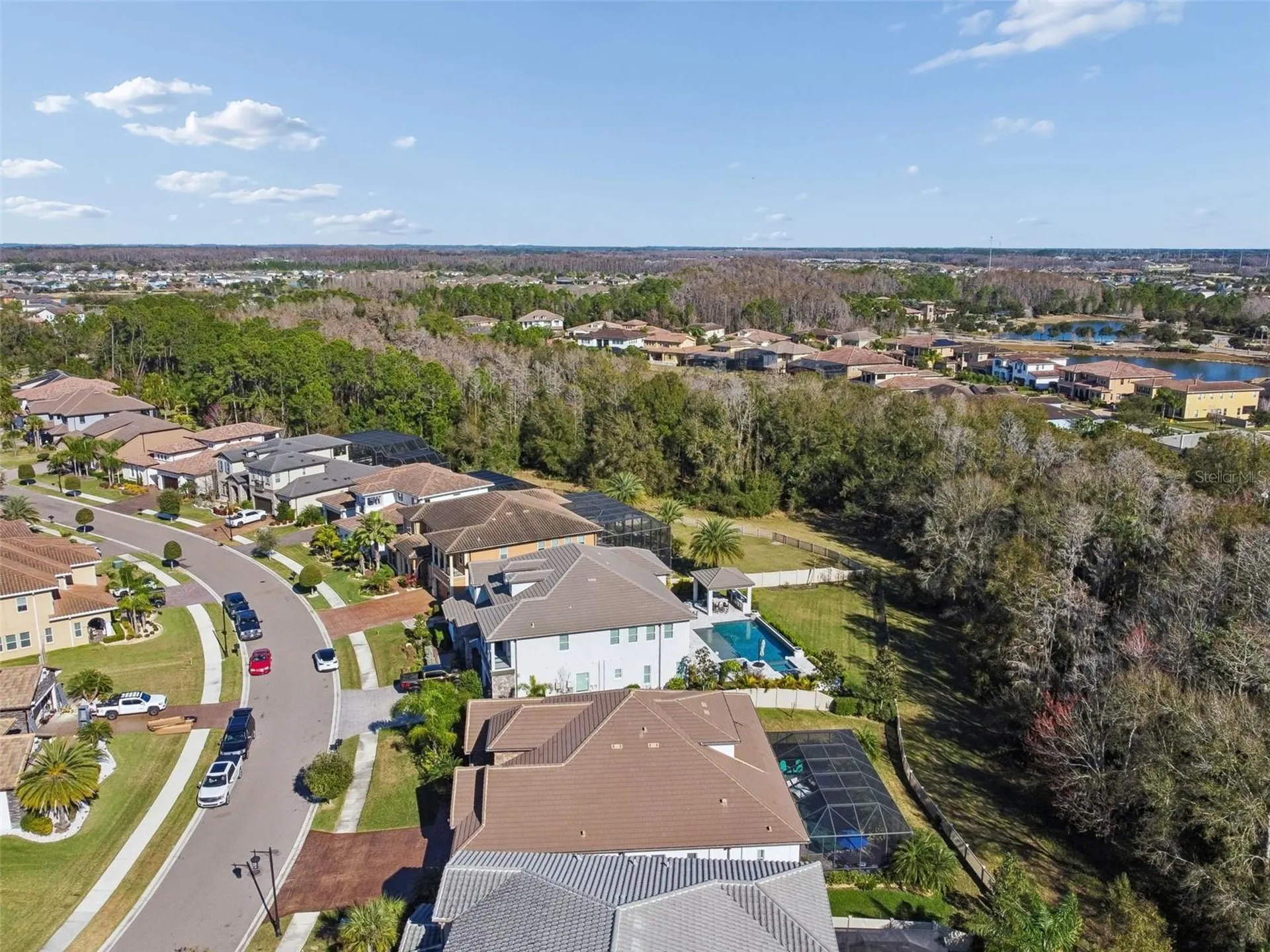 29118 Picana Lane Wesley Chapel FL 33543