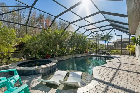 29118 Picana Lane Wesley Chapel FL 33543