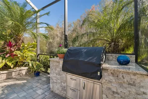 29118 Picana Lane Wesley Chapel FL 33543