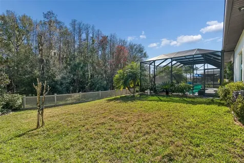 29118 Picana Lane Wesley Chapel FL 33543