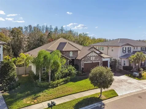 29118 Picana Lane Wesley Chapel FL 33543