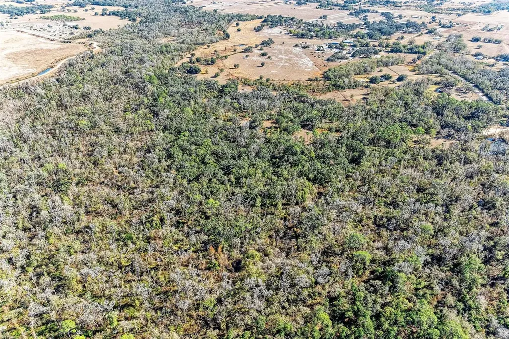 33100 & 33070 Taylor Grade Road Parrish FL 34219