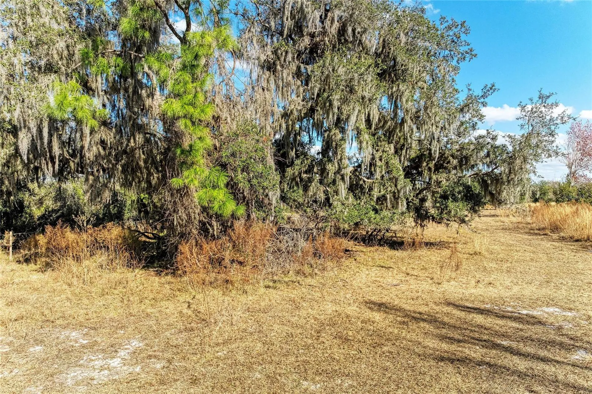 33100 & 33070 Taylor Grade Road Parrish FL 34219