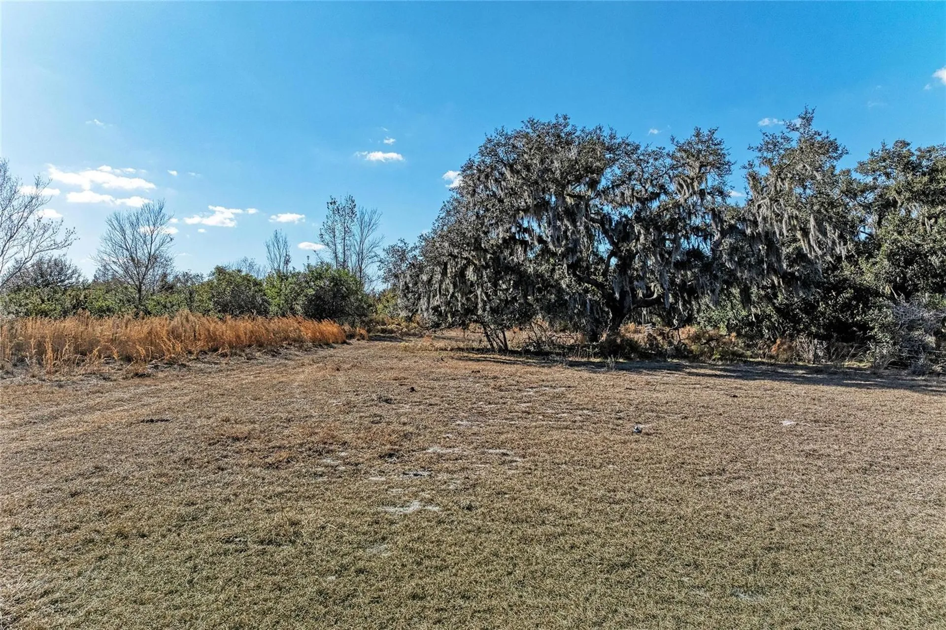 33100 & 33070 Taylor Grade Road Parrish FL 34219