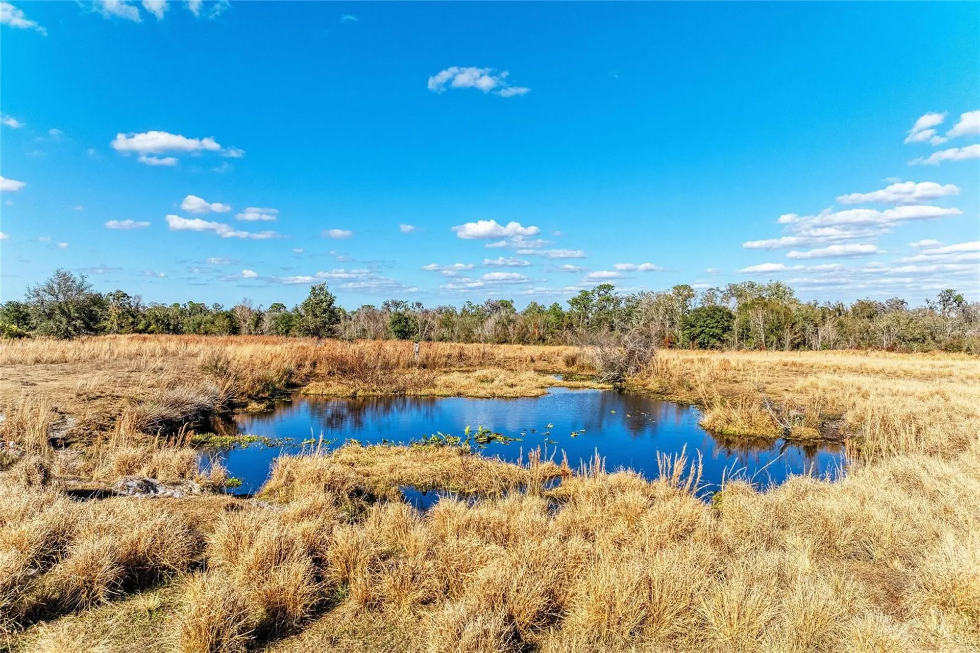 33100 & 33070 Taylor Grade Road Parrish FL 34219