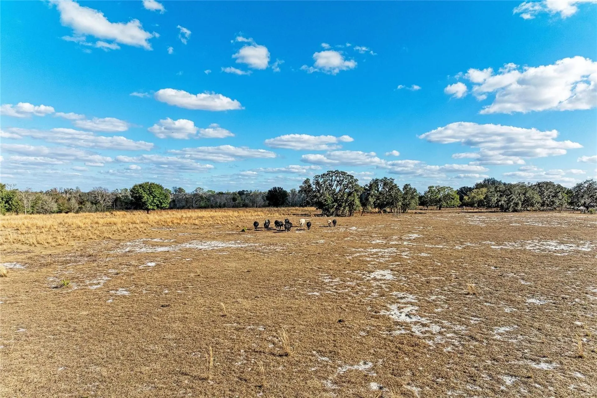 33100 & 33070 Taylor Grade Road Parrish FL 34219