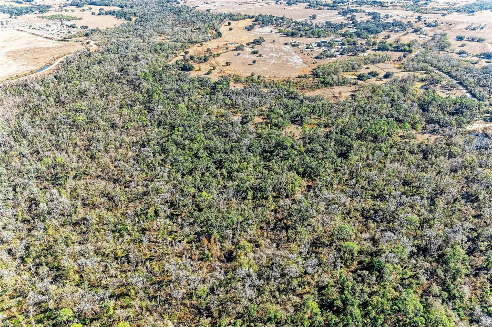 33100 & 33070 Taylor Grade Road Parrish FL 34219