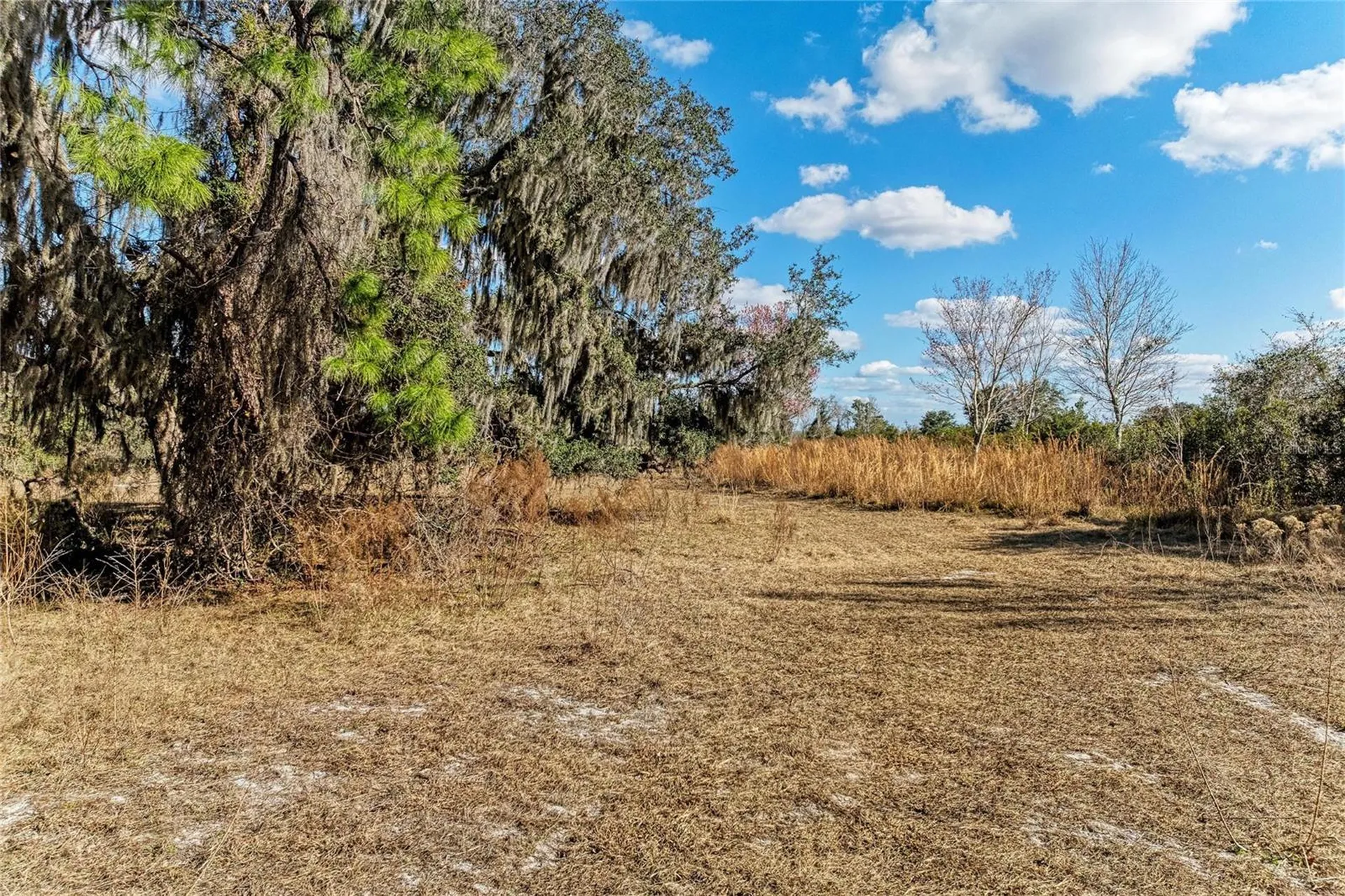 33100 & 33070 Taylor Grade Road Parrish FL 34219