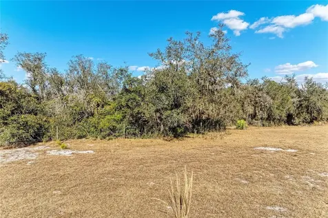 33100 & 33070 Taylor Grade Road Parrish FL 34219
