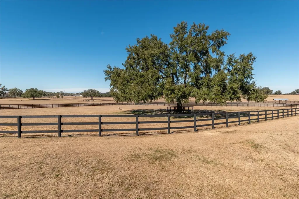 12610 NW Gainesville Road Reddick FL 32686
