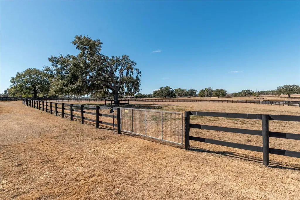 12610 NW Gainesville Road Reddick FL 32686