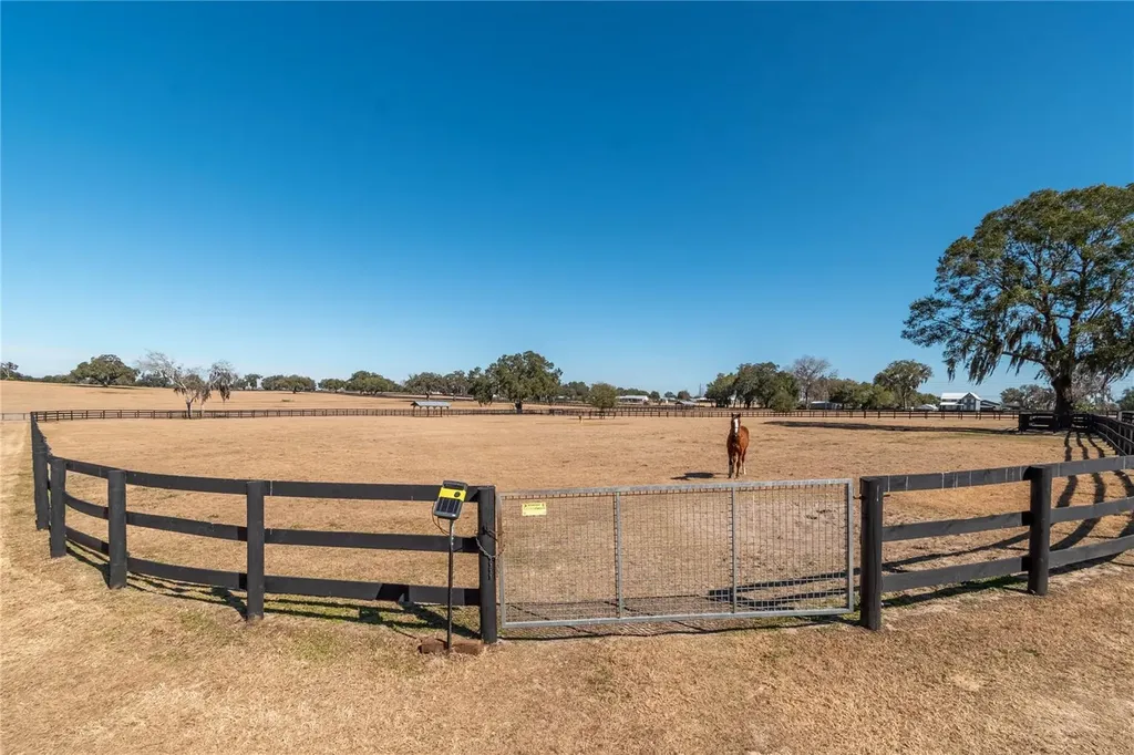 12610 NW Gainesville Road Reddick FL 32686