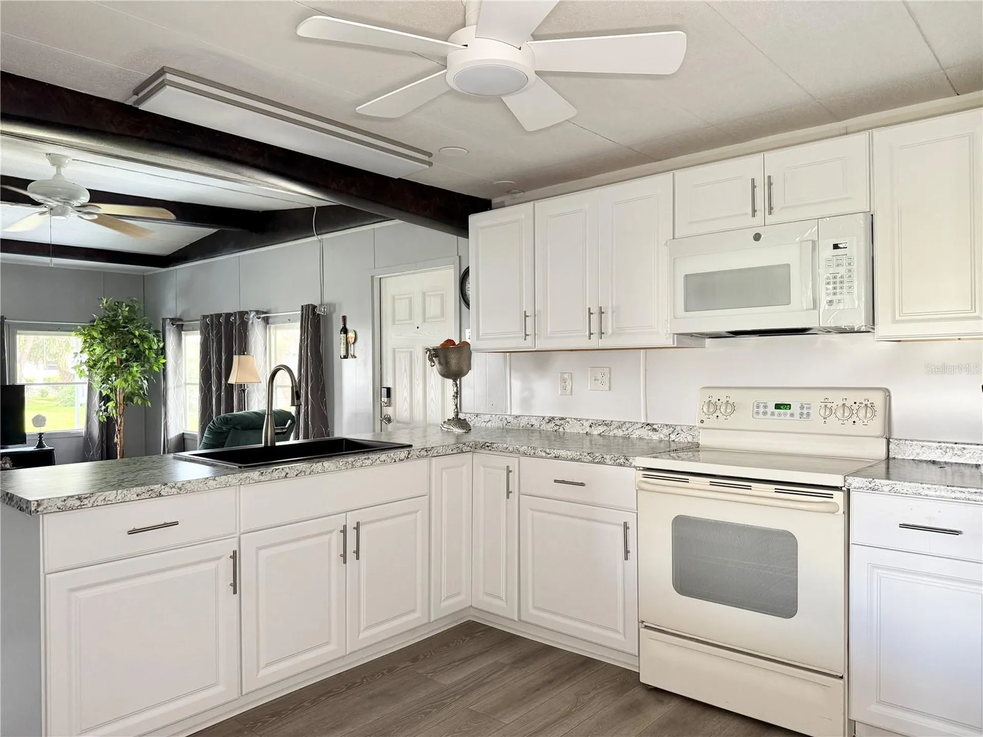 34543 Sweetpea Lane Zephyrhills FL 33541