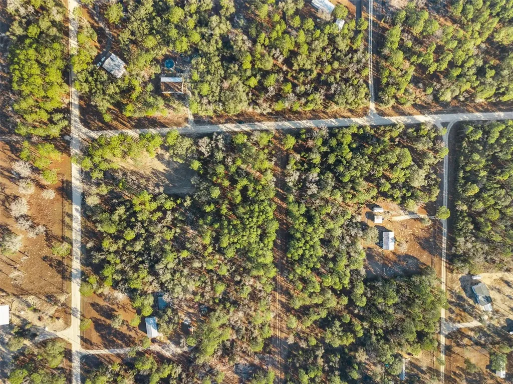 0 NE 121st Avenue Williston FL 32696