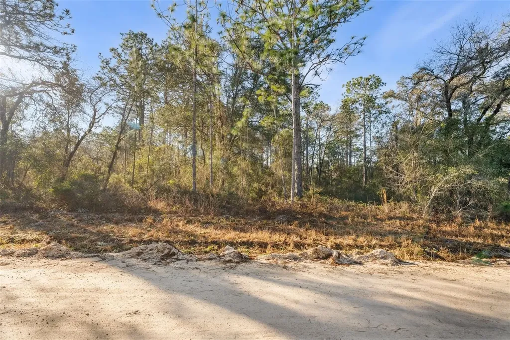 0 NE 121st Avenue Williston FL 32696