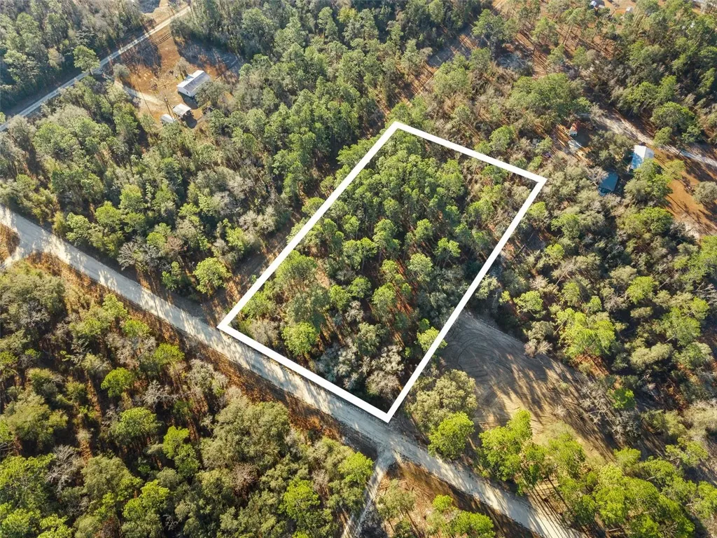 0 NE 121st Avenue Williston FL 32696