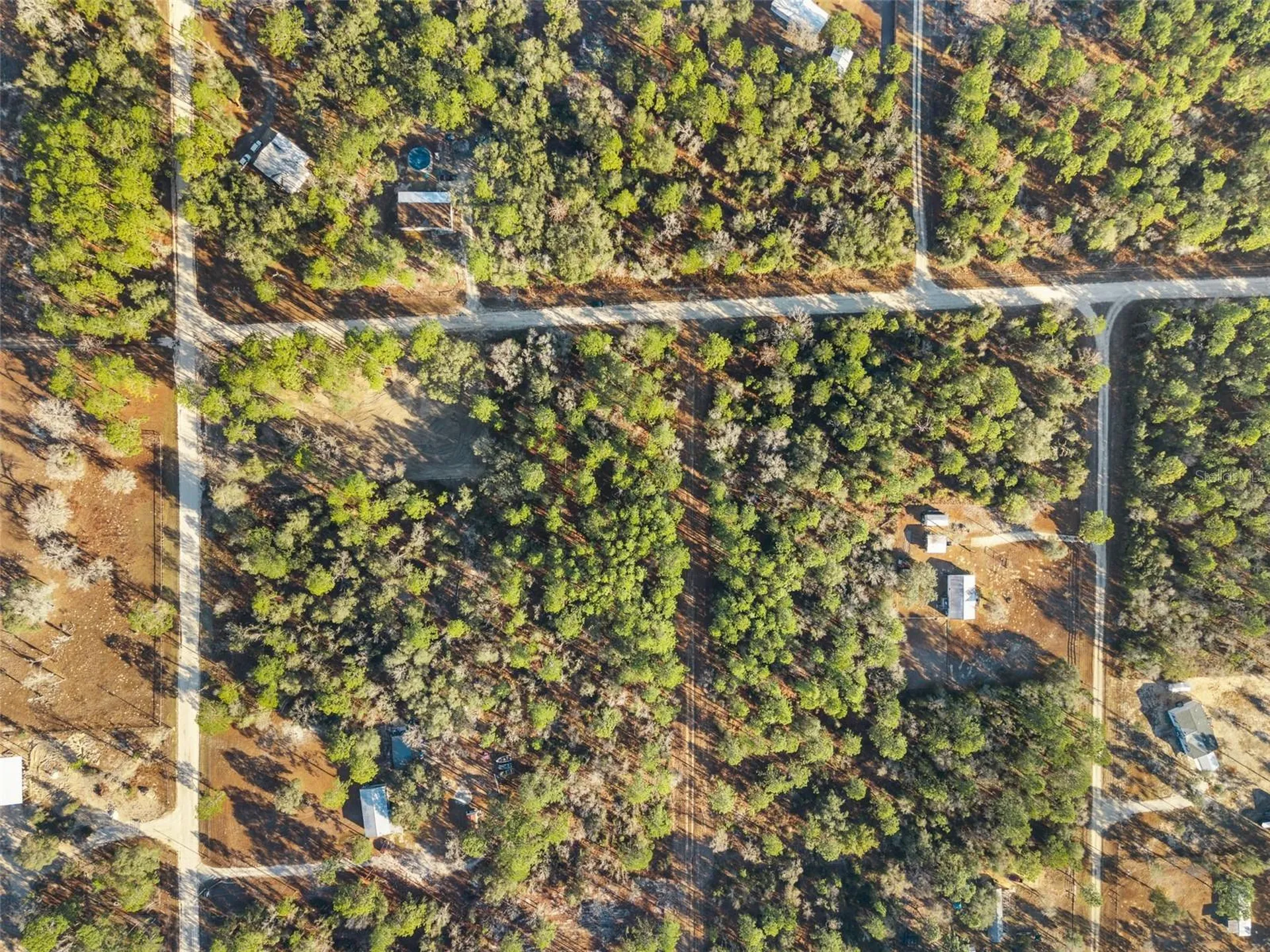 0 NE 121st Avenue Williston FL 32696