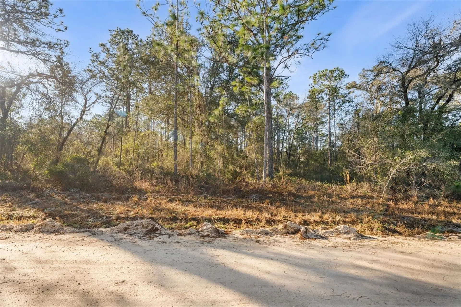 0 NE 121st Avenue Williston FL 32696