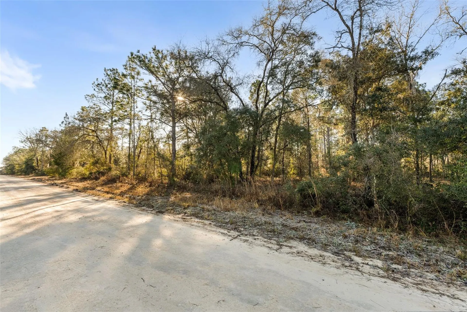 0 NE 121st Avenue Williston FL 32696