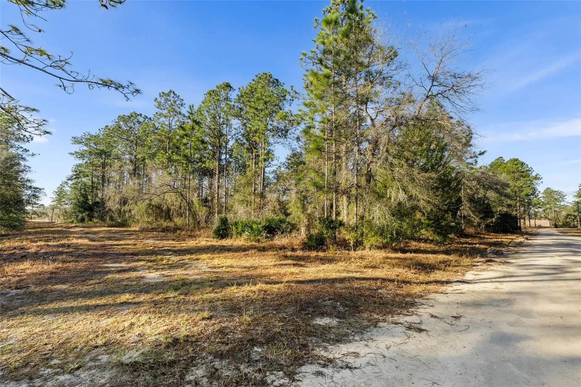 0 NE 121st Avenue Williston FL 32696