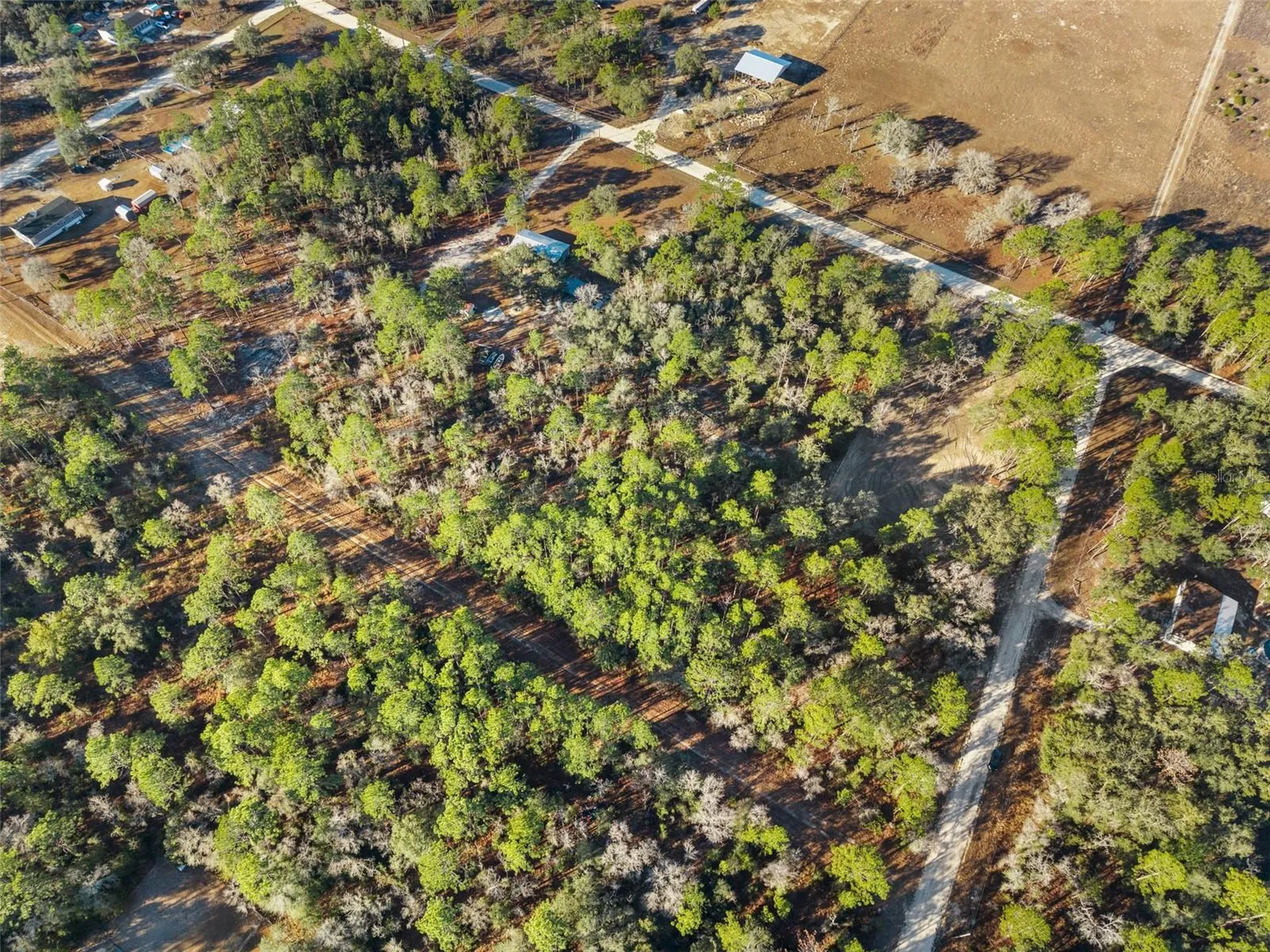 0 NE 121st Avenue Williston FL 32696
