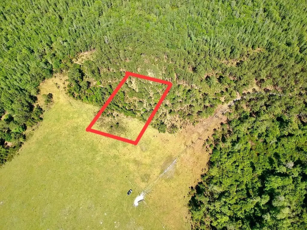 Deen Still Road E Road E Polk City FL 33868
